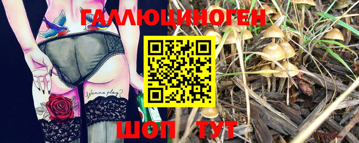 Галлюциногенные грибы прущие грибы  Вход с VPN  Саяногорск 