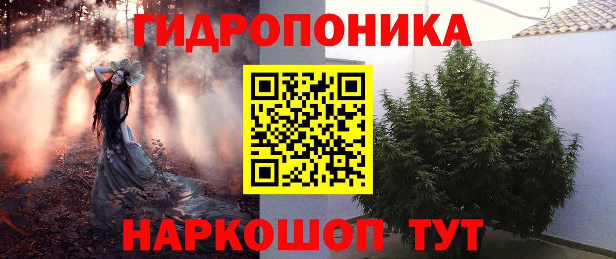 Бошки марихуана конопля Саяногорск
